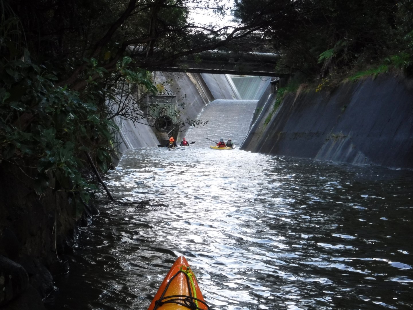 DSCF6249_Nihotupu spillway PVK