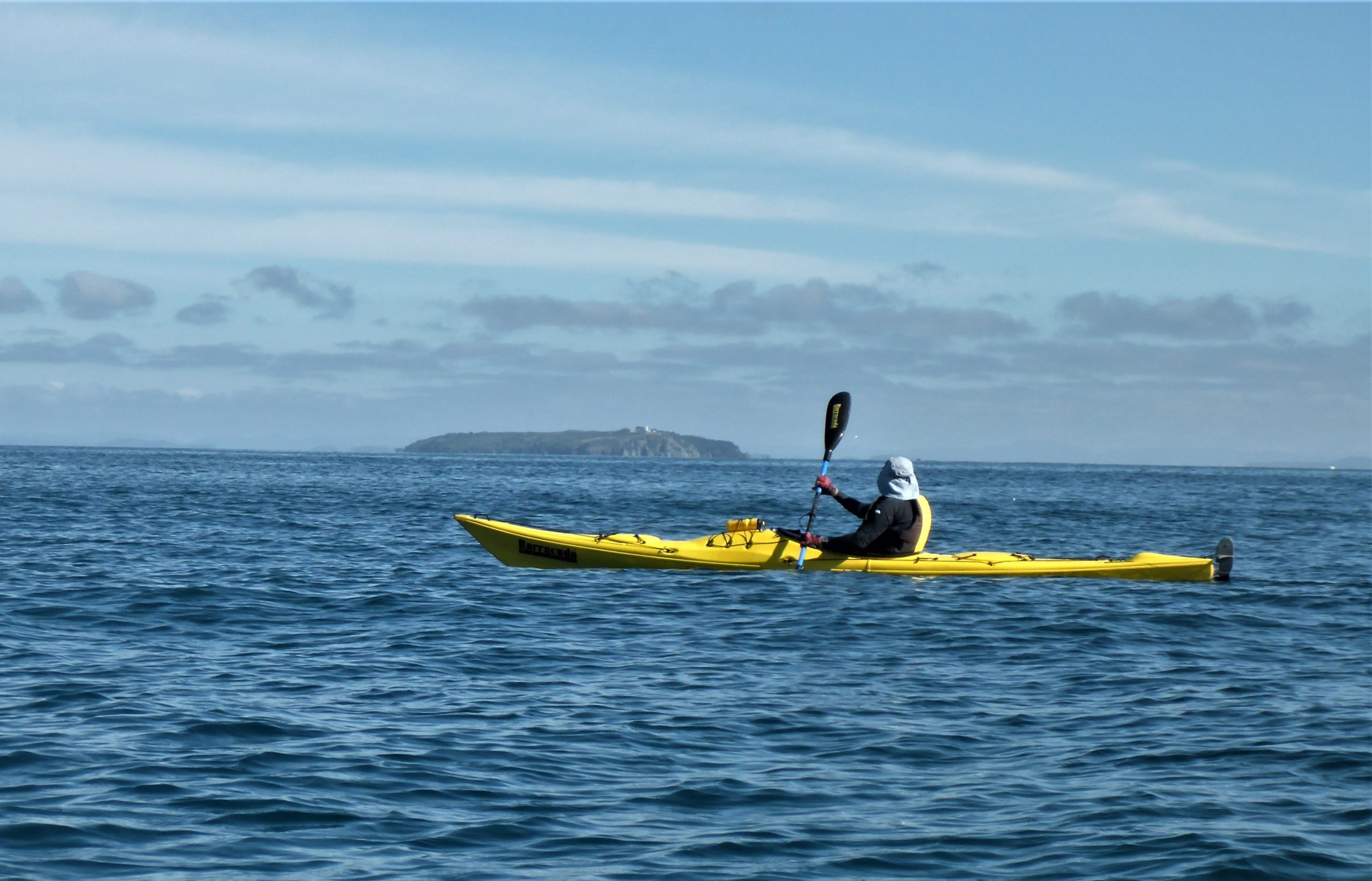 Tiritiri Matangi in the distance GF