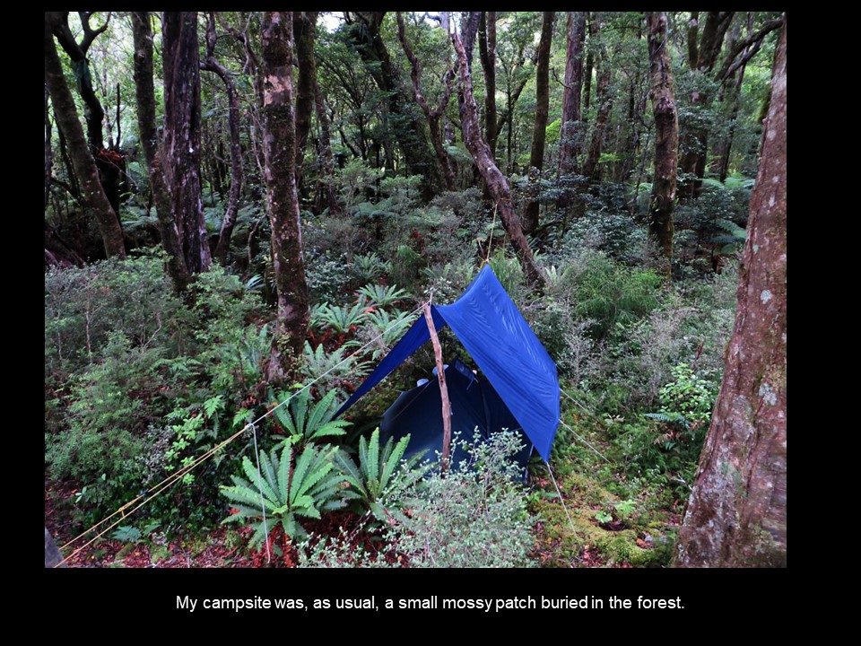 Slide38