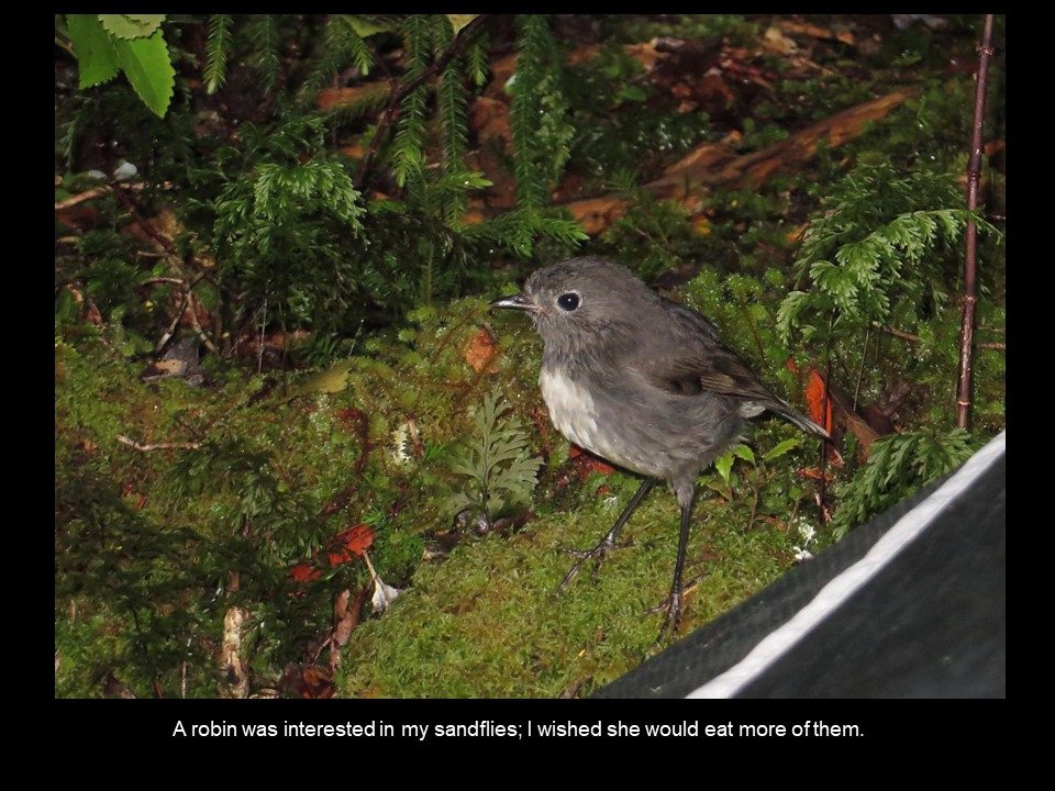Slide39